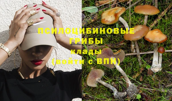 стаф Гусь-Хрустальный