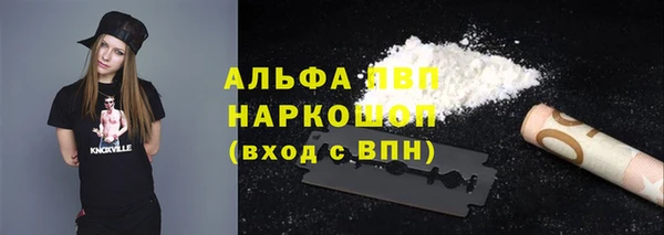 стаф Гусь-Хрустальный