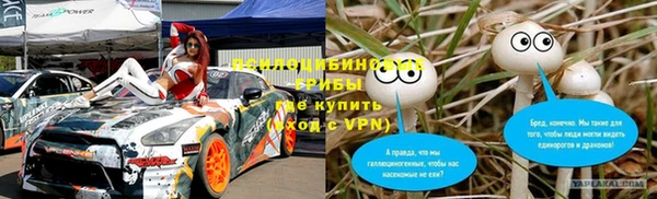 стаф Гусь-Хрустальный