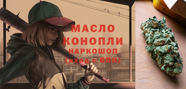 стаф Гусь-Хрустальный