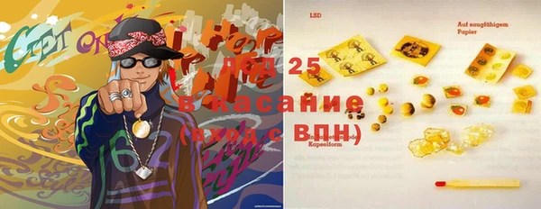 стаф Гусь-Хрустальный